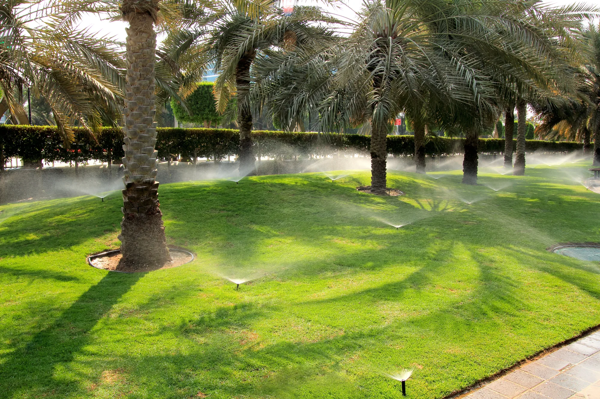 Understanding The Process of Irrigation System Installation detail for Irrigation System Installation in Elk Grove, CA 95757