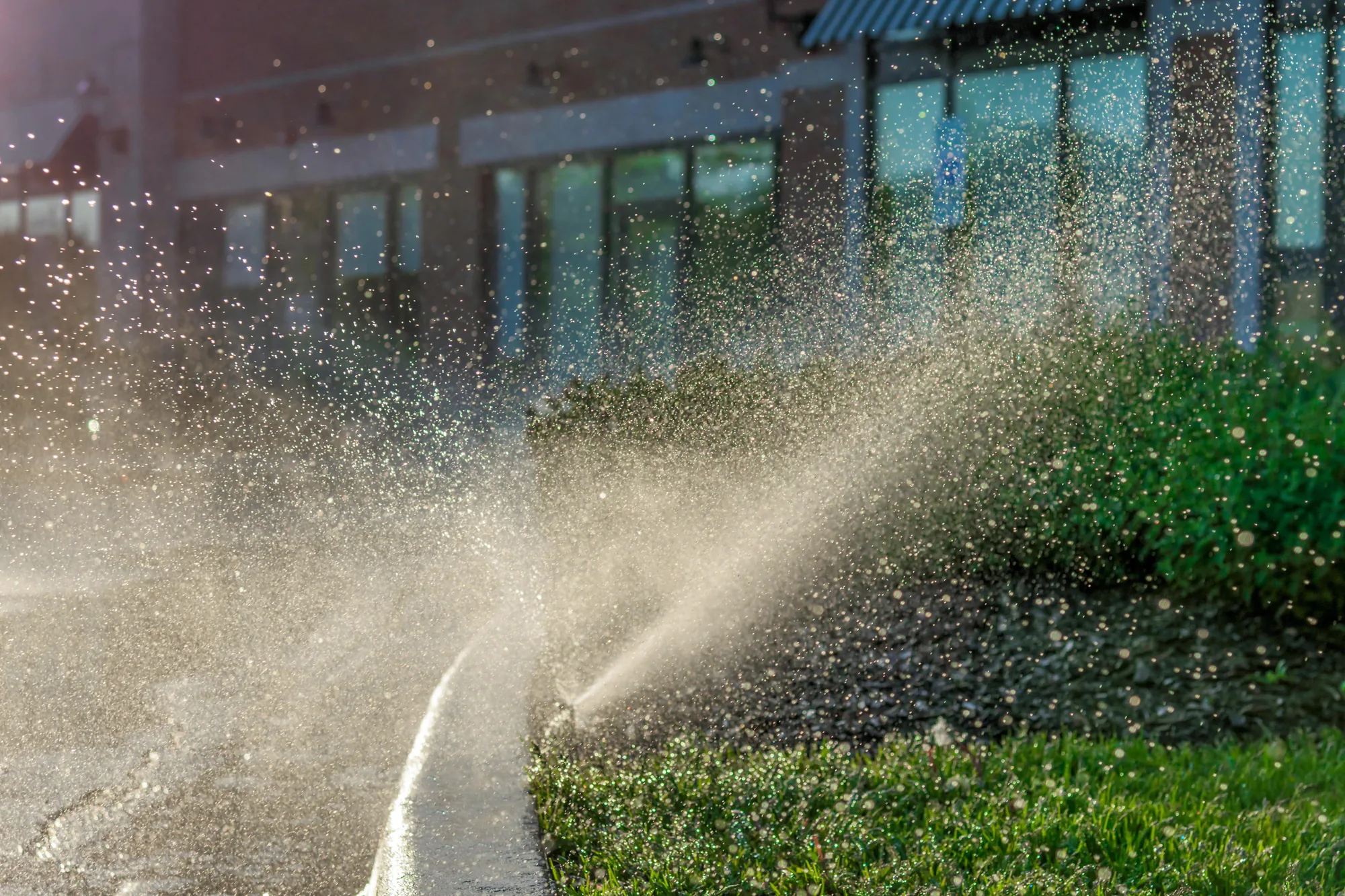 Irrigation System Installation in Elk Grove, CA 95757