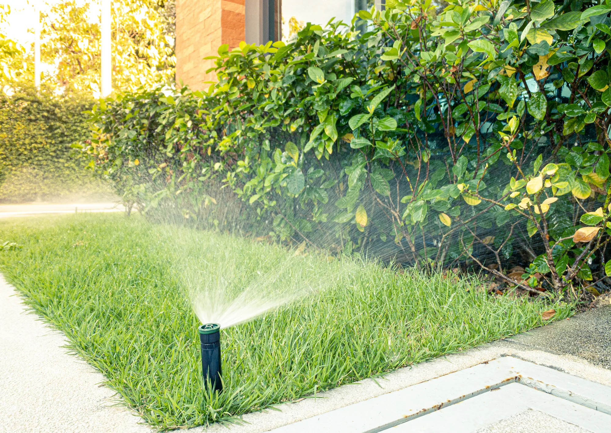 Irrigation System Installation service detail in Elk Grove, CA 95757