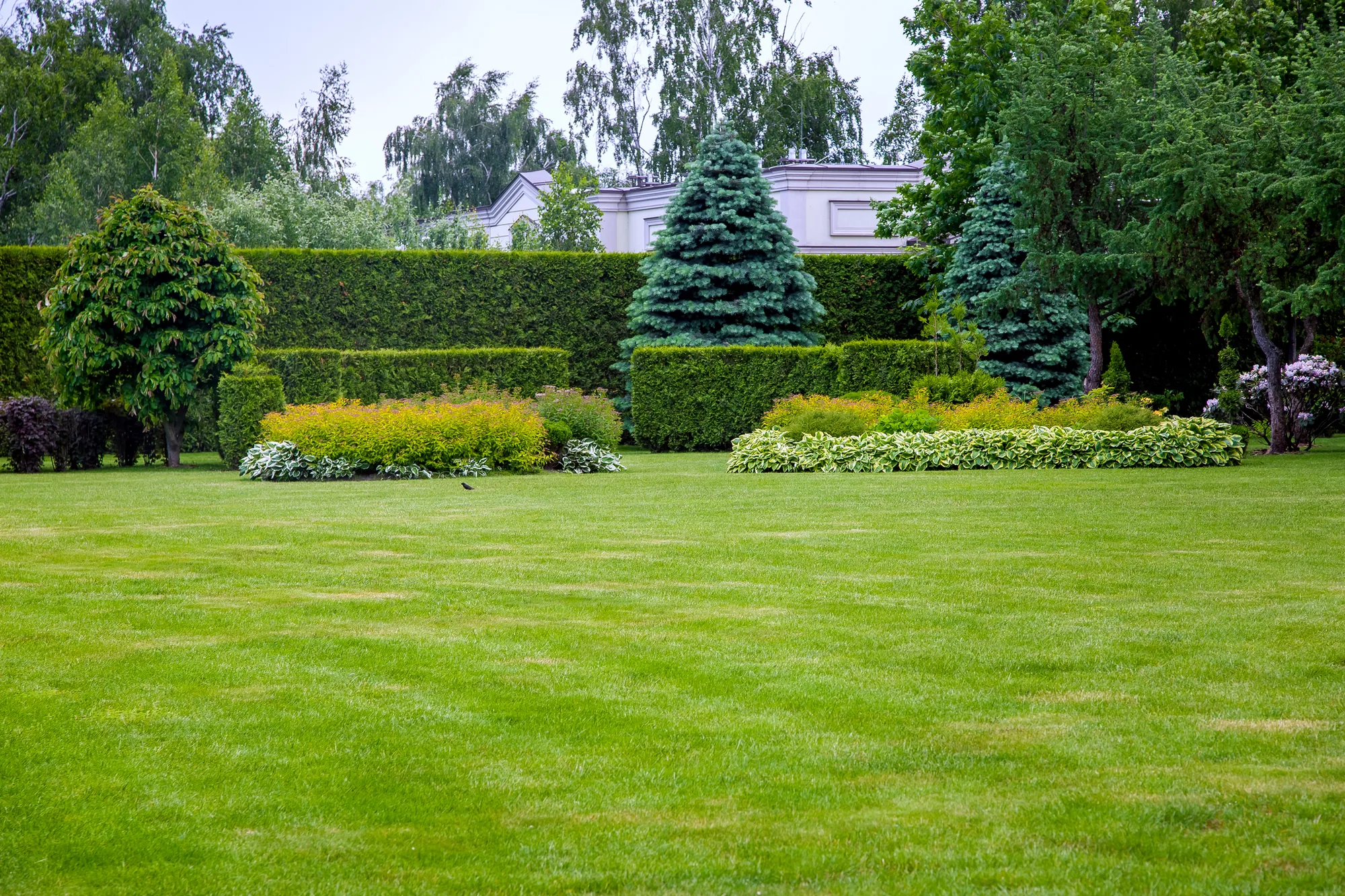 Landscaping services visual 2 in Galt, CA