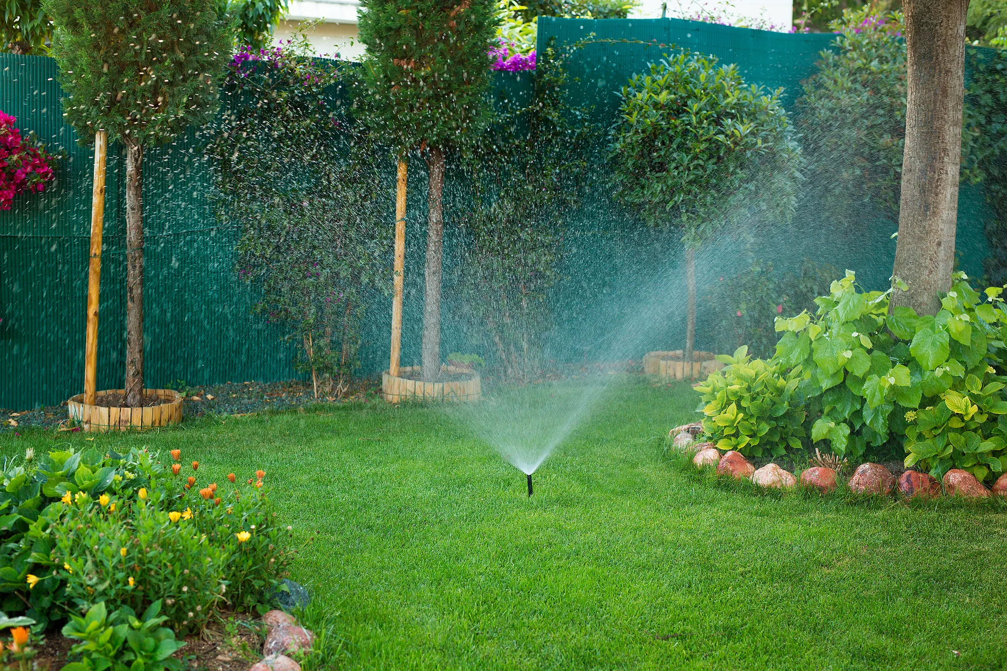 Landscaping Company in Elk Grove, CA 95757