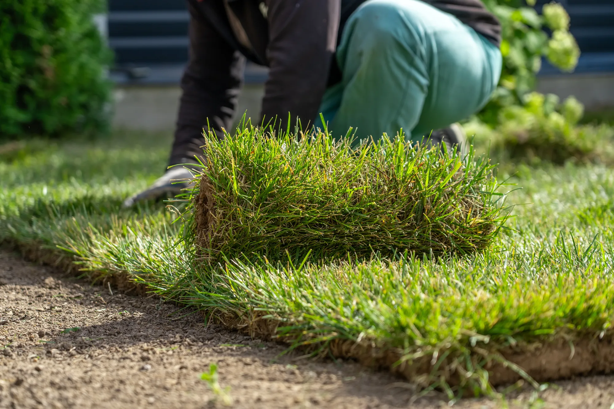 Landscaping services visual 3 in Lemon Hill, CA Landscaping services visual 3 in Lemon Hill, CA