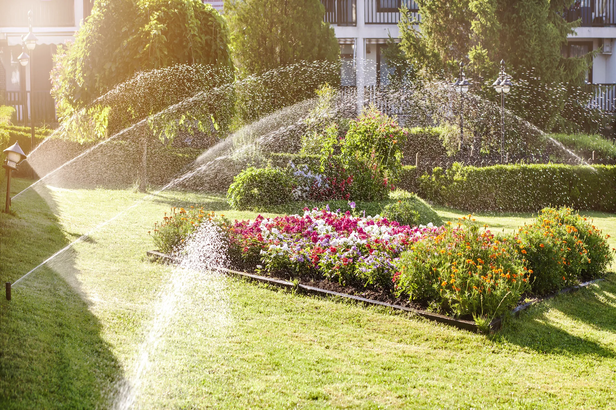 Landscaping Company in Elk Grove, CA 95757 Landscaping Company in Elk Grove, CA 95757