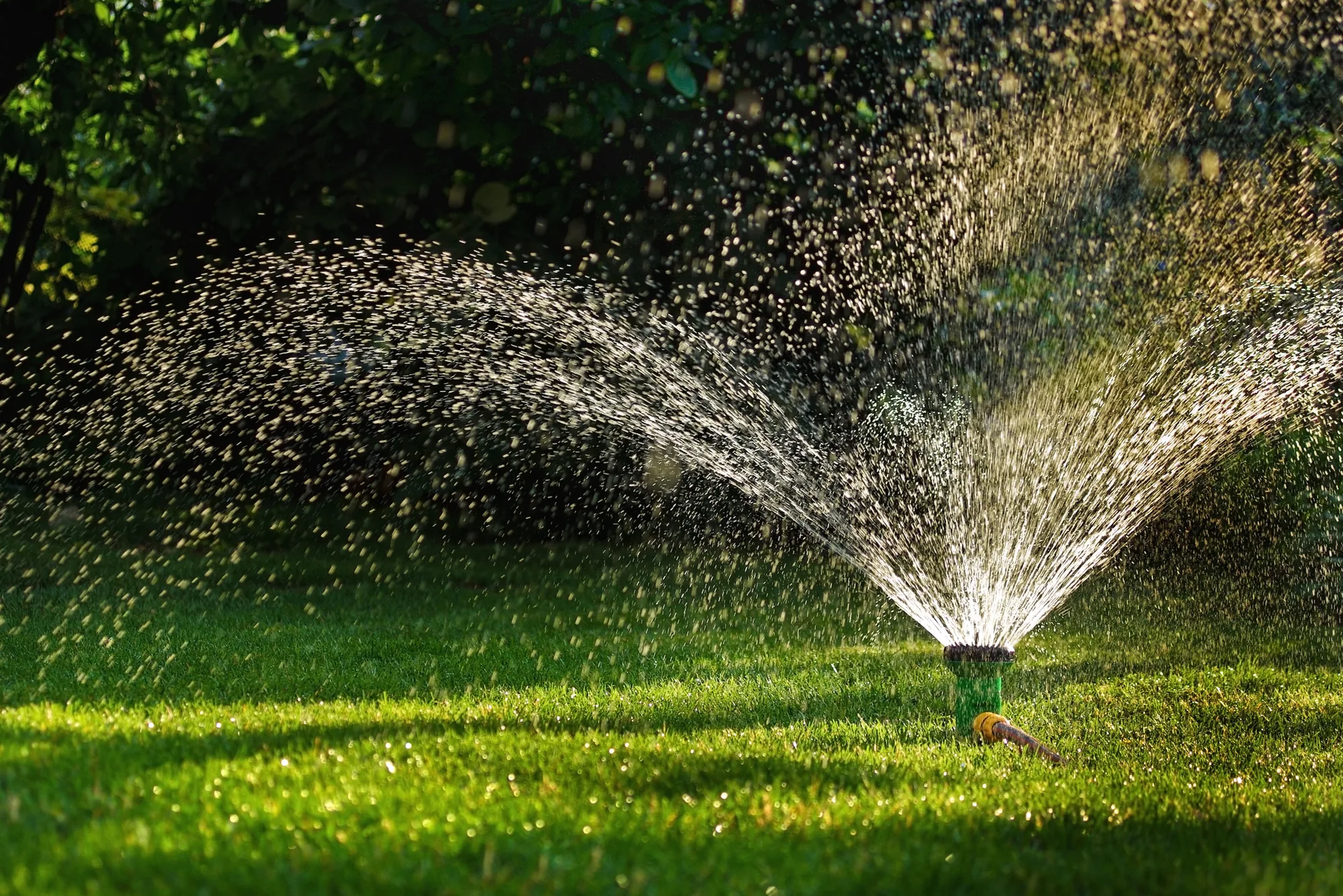 Landscaping services in Rosemont, CA