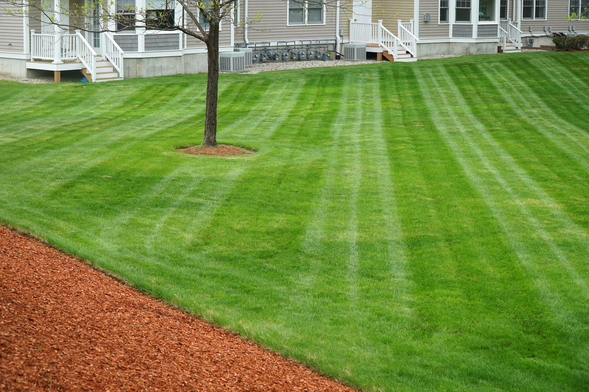 How Lawn Maintenance Enhances Curb Appeal For Homes for Lawn Maintenance