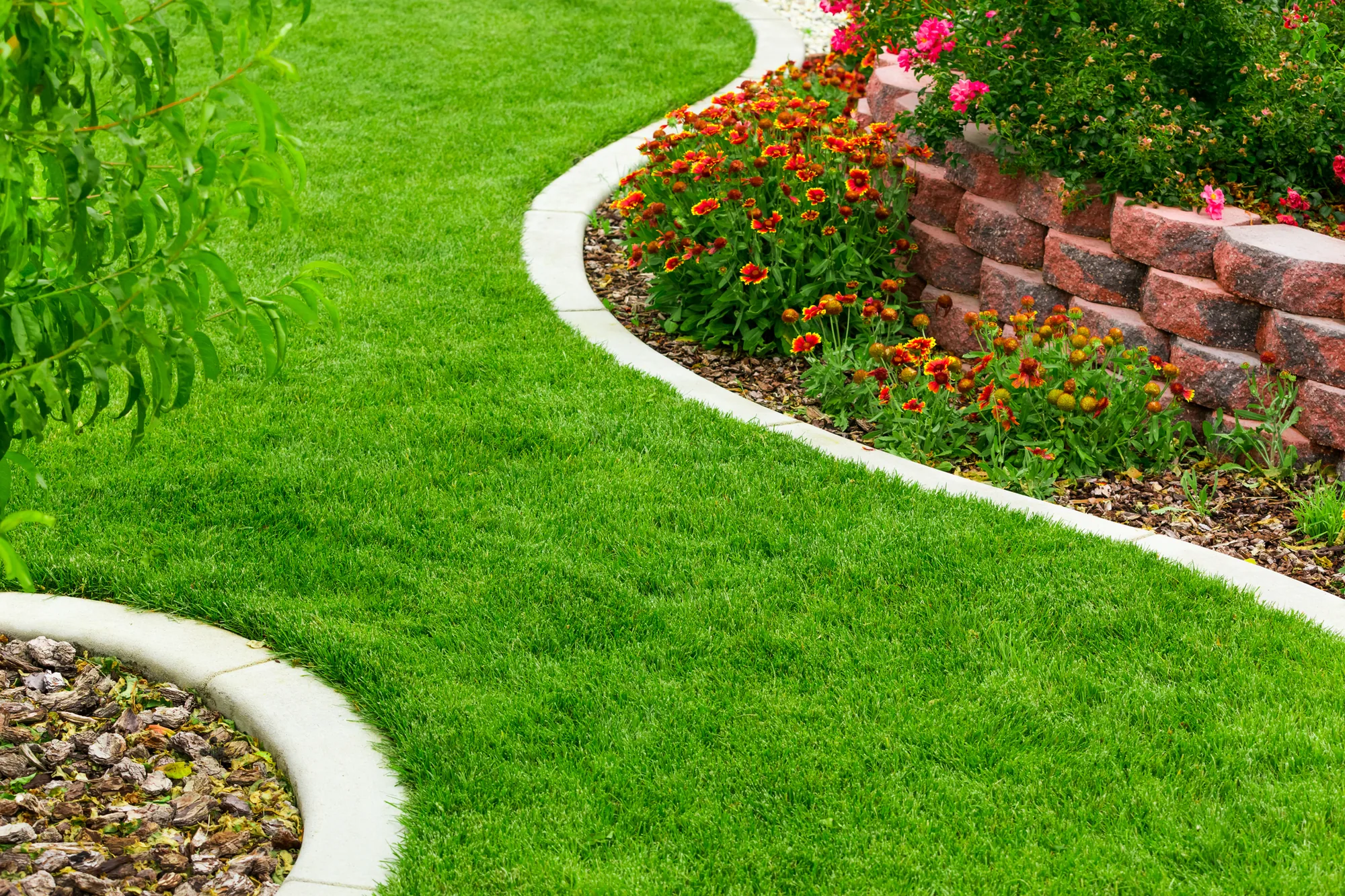 How Lawn Maintenance Enhances Curb Appeal For Homes guide in Elk Grove, CA 95757
