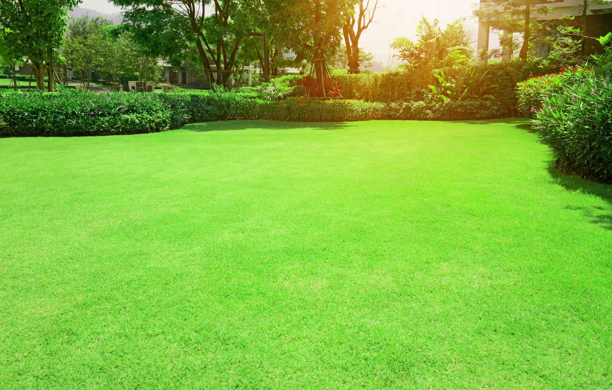 How Sprinkler System Repair Improves Water Efficiency guide in Elk Grove, CA 95757 How Sprinkler System Repair Improves Water Efficiency guide in Elk Grove, CA 95757