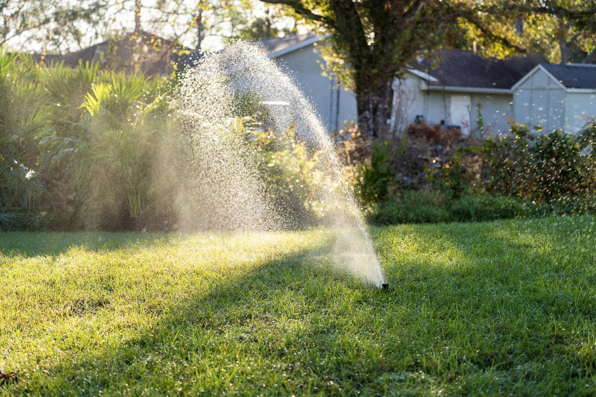 The Role of Sprinkler System Repair in Lawn Health for Sprinkler System Repair