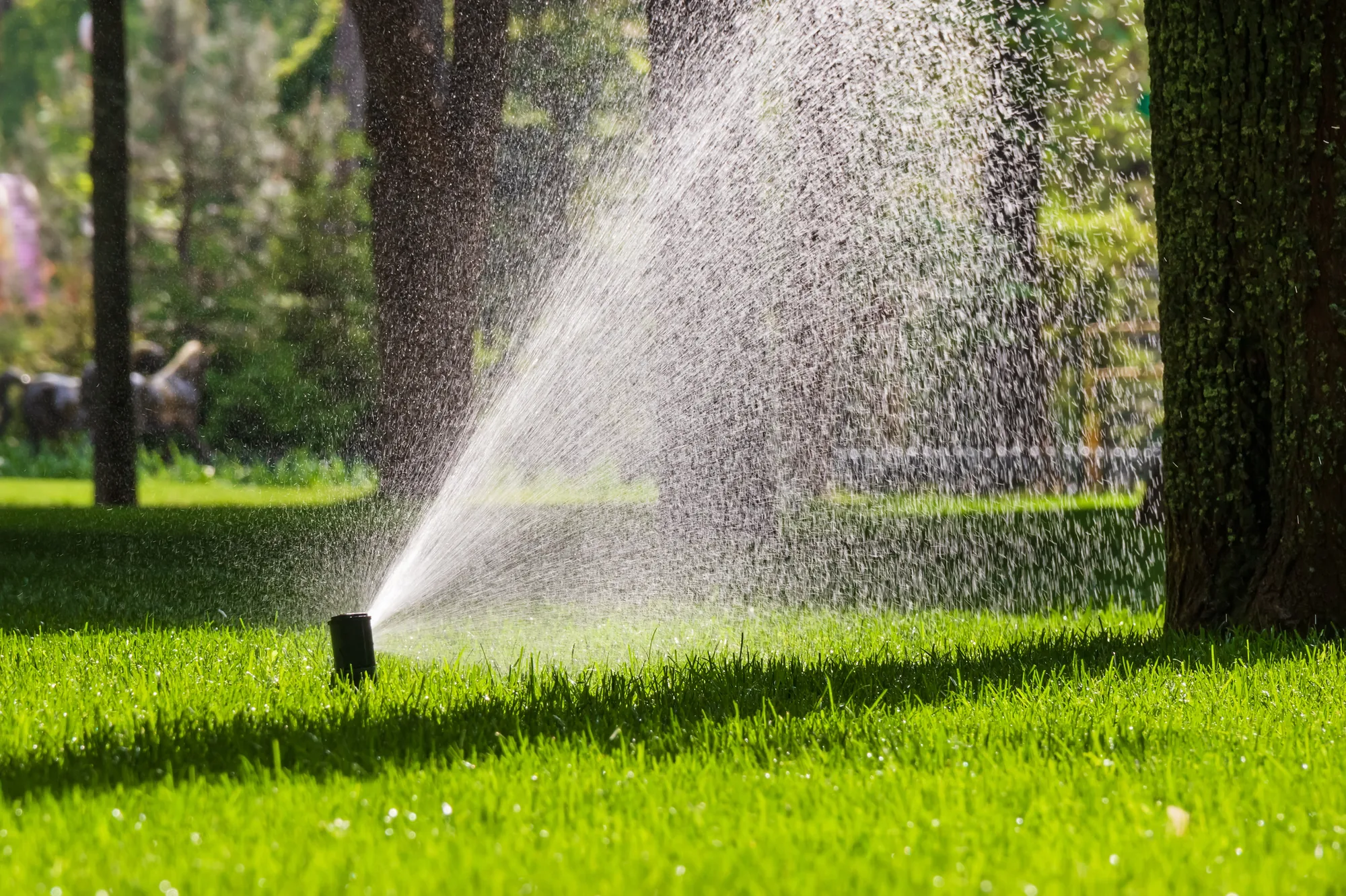 Sprinkler System Repair image 2 in Elk Grove, CA 95757