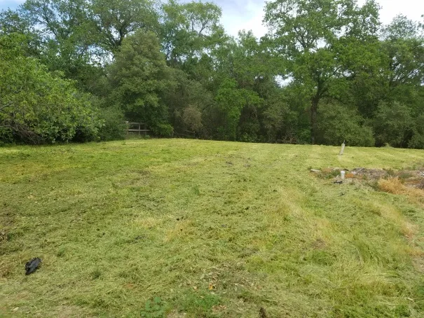 Expert landscaping services project photo 1 in Elk Grove, California