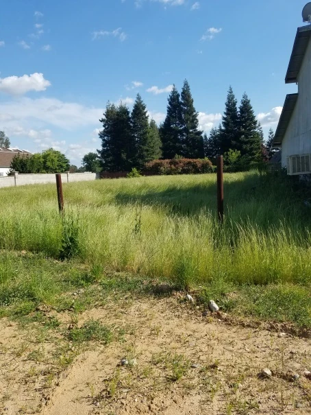 Expert landscaping services project photo 10 in Elk Grove, California