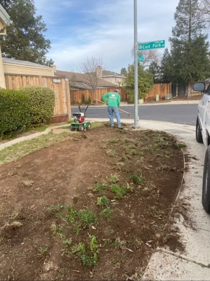 Expert landscaping services project photo 11 in Elk Grove, California