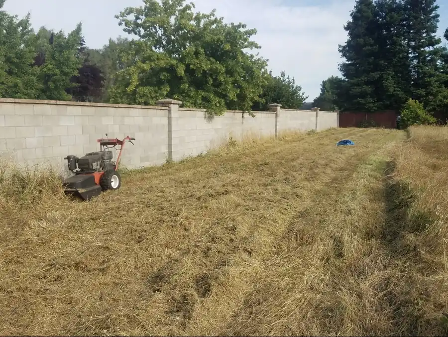 Expert landscaping services project photo 12 in Elk Grove, California