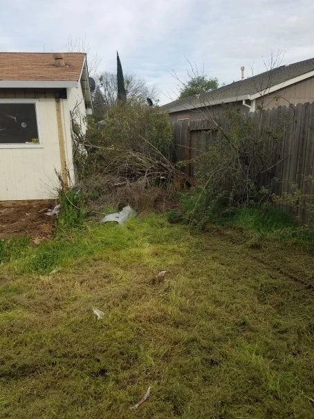 Expert landscaping services project photo 13 in Elk Grove, California