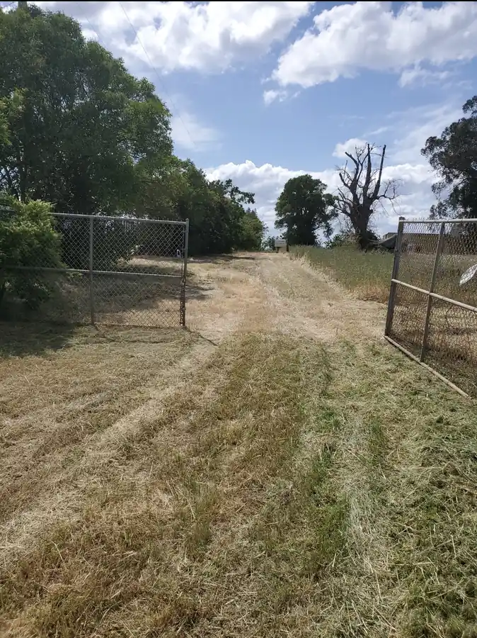 Expert landscaping services project photo 15 in Elk Grove, California