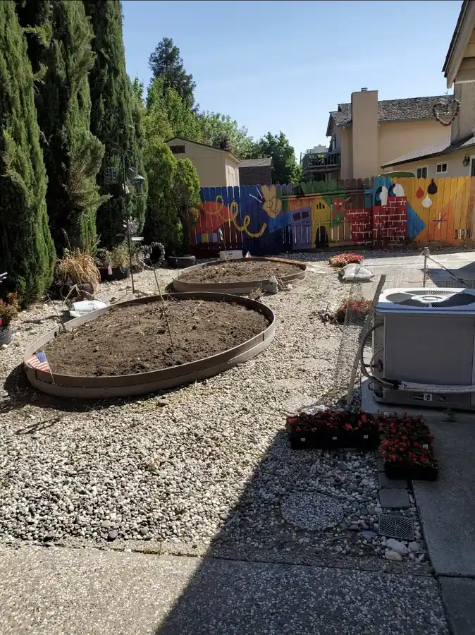 Expert landscaping services project photo 6 in Elk Grove, California