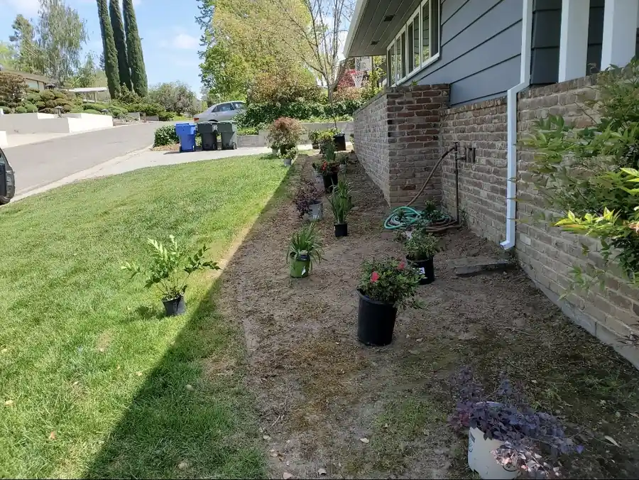 Expert landscaping services project photo 7 in Elk Grove, California