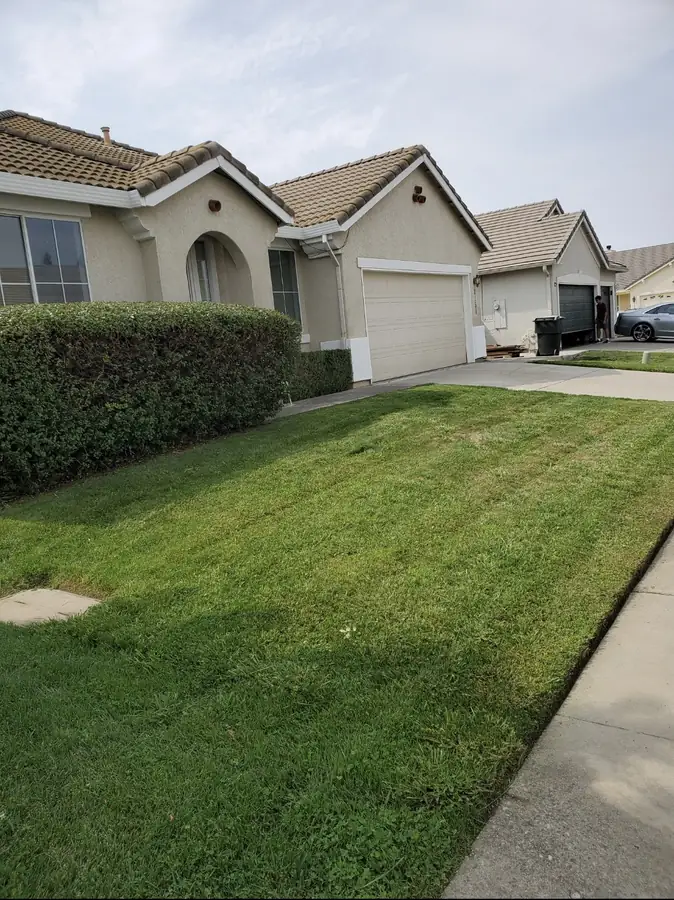 Expert landscaping services project by Green Oaks Landscape in Elk Grove, California