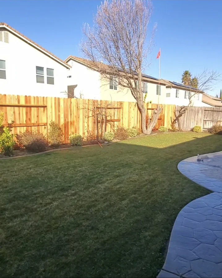 Reliable landscaping company project by Green Oaks Landscape in Elk Grove, California
